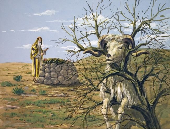 Abraham (2).jpg