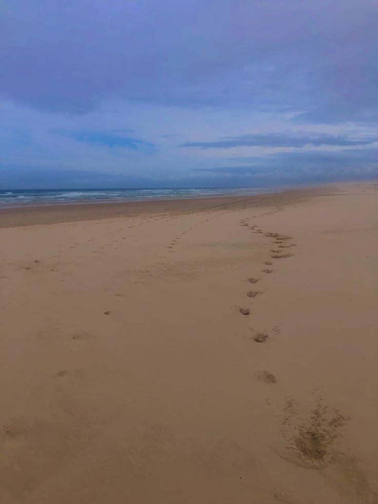 Camel footprints blog.jpg