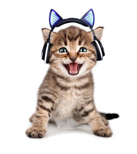 downloadfile-3.jpg