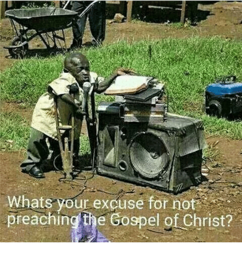 ZZ - 1201.png