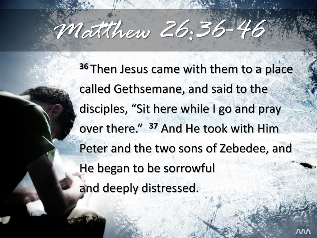 Scripture Of The Day -- CONSIDER JESUS | Christian Forums ...