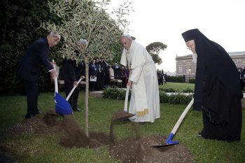 Planting-trees-for-peace.jpg