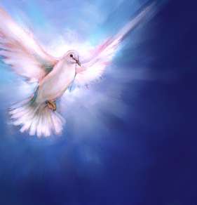 holy-spirit-dove1.jpg