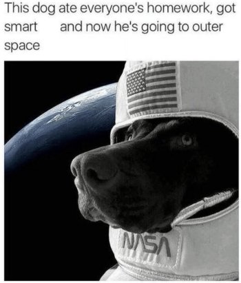 1766576674488.jpeg