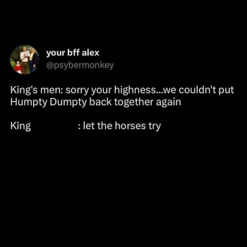 1766591619954.jpeg