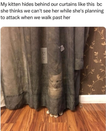 1766734899508.png