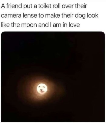 1766812674197.jpeg