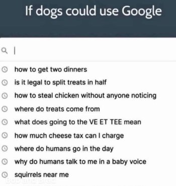 1766905279797.jpeg