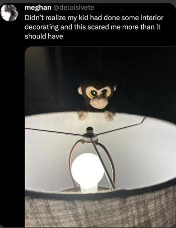 1766921356924.jpeg