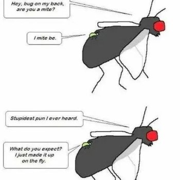 1766956737079.jpeg