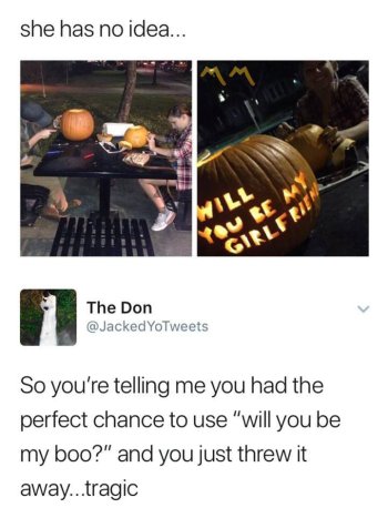 1766981524036.jpeg