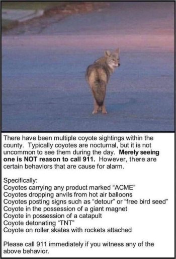 1767055782910.jpeg