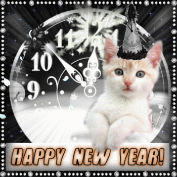 1767186151773.gif