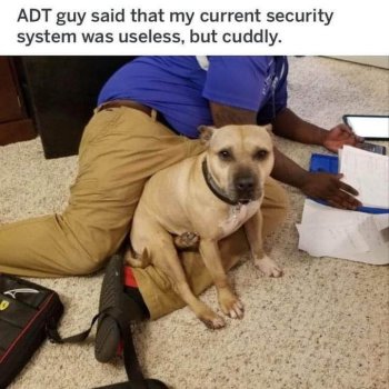 1767218304505.jpeg