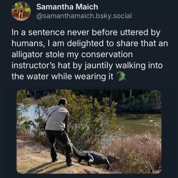 1767272380754.jpeg