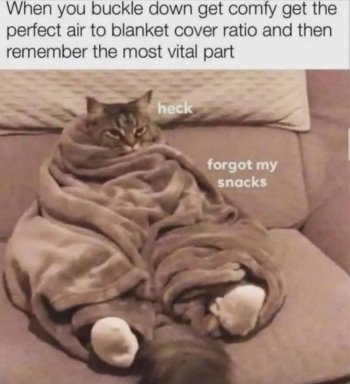 1767282008329.jpeg
