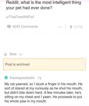 1767437418568.jpeg