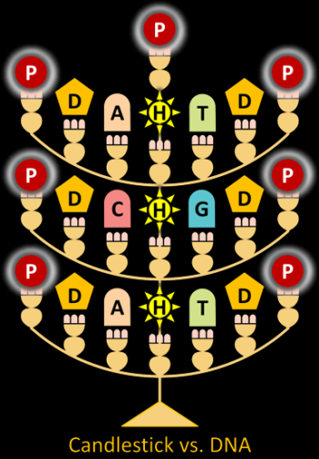 Candlestick DNA.png Candlestick DNA.png