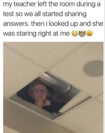 1767560509955.jpeg