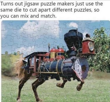 1767616061375.jpeg