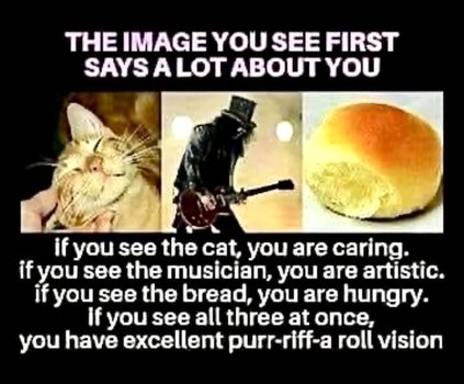 1767616143213.jpeg