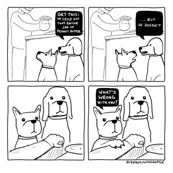 1767634052413.jpeg