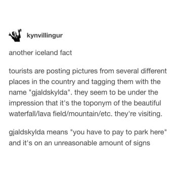 1767650487685.jpeg