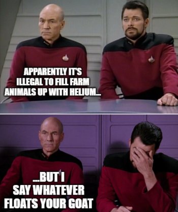 1767720035772.jpeg