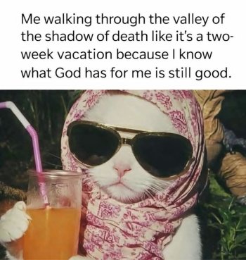 1767818881062.jpeg