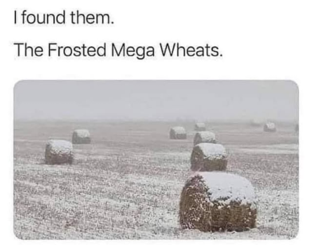 1767887639905.png
