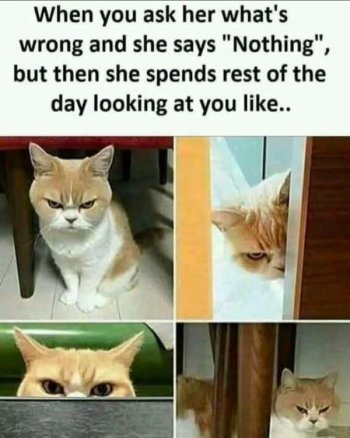 1767911998782.jpeg