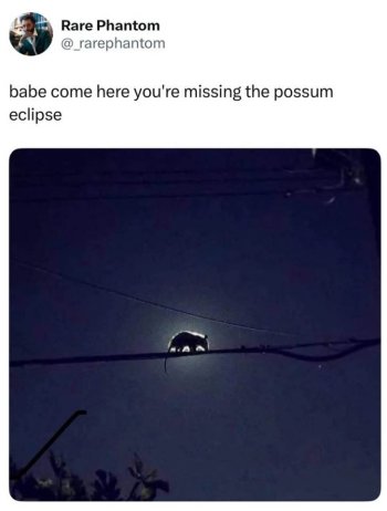 1767927916353.jpeg