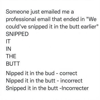 1767962642888.jpeg