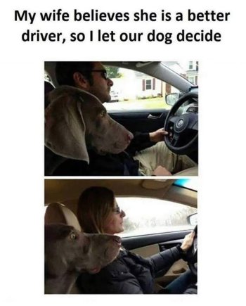 1767966401709.jpeg