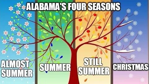 AL seasons.jpg