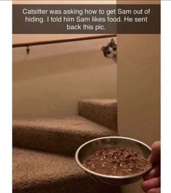 1768053065996.jpeg