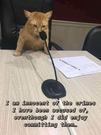 1768053285760.jpeg
