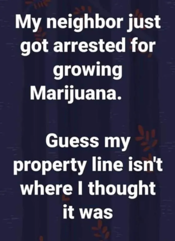 1768053613638.png