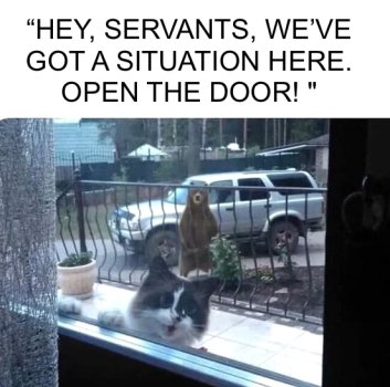 1768054093430.jpeg