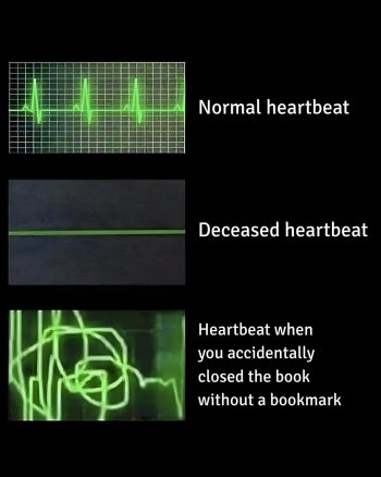 1768082968606.jpeg