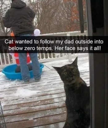 c2.jpg