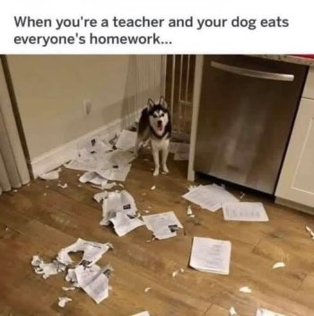 1768117037462.jpeg