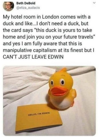 1768139028173.jpeg