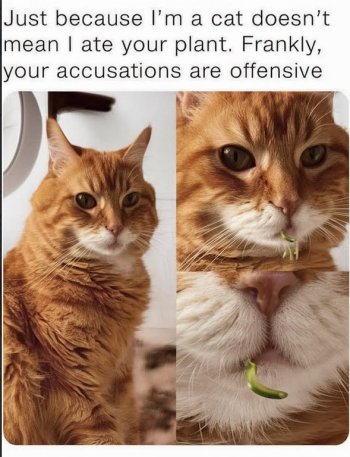 1768140013784.jpeg