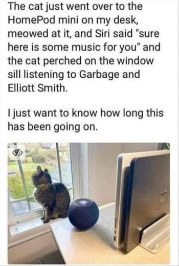 1768140077779.jpeg