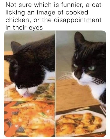 1768153980507.jpeg