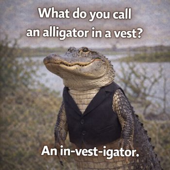 1768326626002.jpeg