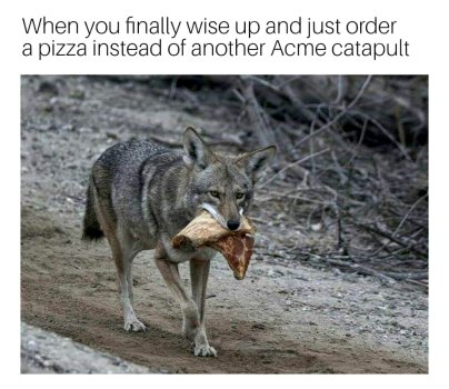 1768349094824.jpeg