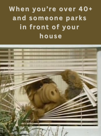 1768400440006.png