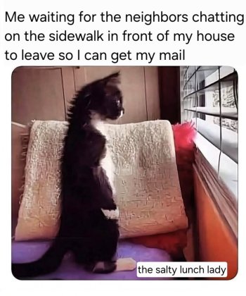 1768404405899.jpeg
